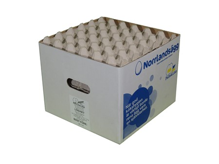 Ägg Stora 30st Large Frigående