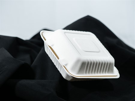 1 fack mellan  BAGASSE WHITE 225X201X85 150st Duni