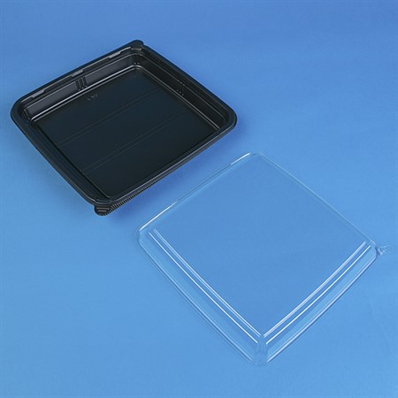 Sushi cont family 255x255x25 25st, 200st krt