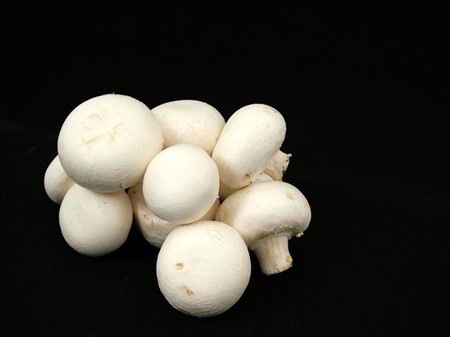 Champinjon färsk 3kg