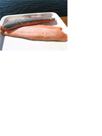 Fjällrödingfile 150-250g 4,5kg